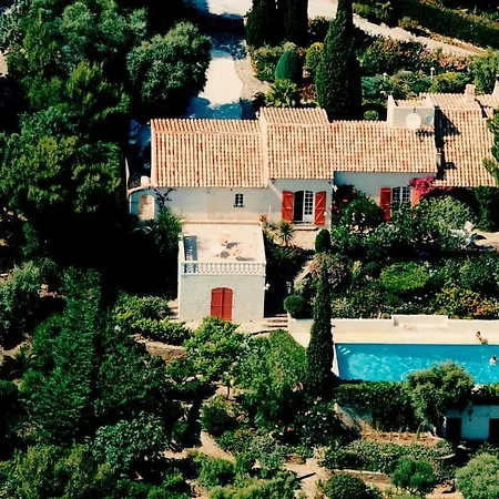 Luxury Loupantou